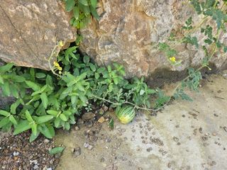 정정애님의 자유주제 · 사진전 작성글 사진