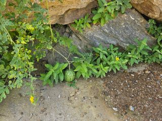 정정애님의 자유주제 · 사진전 작성글 사진