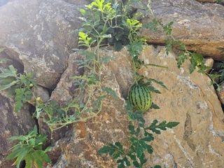정정애님의 자유주제 · 사진전 작성글 사진