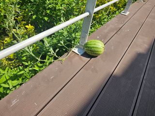 정정애님의 자유주제 · 사진전 작성글 사진