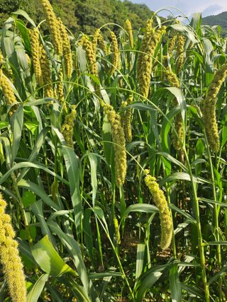 오명희 님의 자유주제 · 자유게시판 작성글 사진