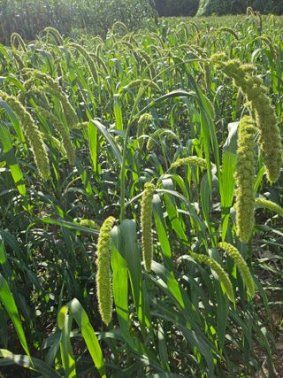 오명희 님의 자유주제 · 자유게시판 작성글 사진