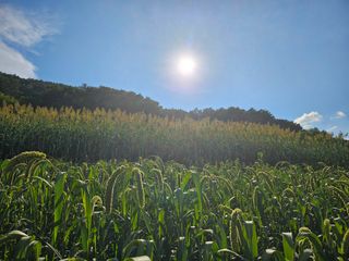 오명희 님의 자유주제 · 자유게시판 작성글 사진
