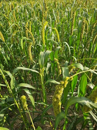 오명희 님의 자유주제 · 자유게시판 작성글 사진