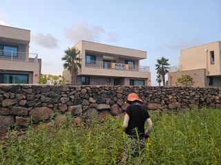 제주님의 참깨 · 영농일지 작성글 사진