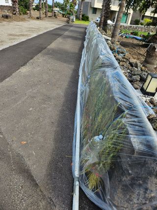 제주님의 참깨 · 영농일지 작성글 사진