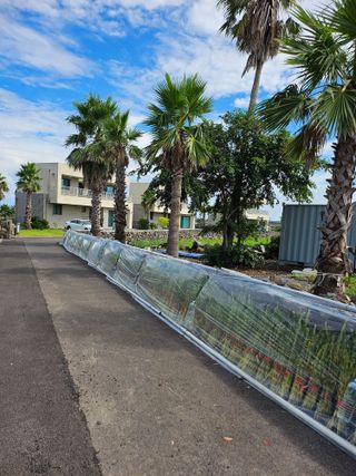 제주님의 참깨 · 영농일지 작성글 사진