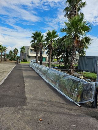 제주님의 참깨 · 영농일지 작성글 사진