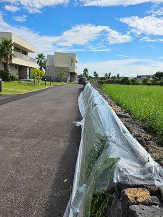제주님의 참깨 · 영농일지 작성글 사진