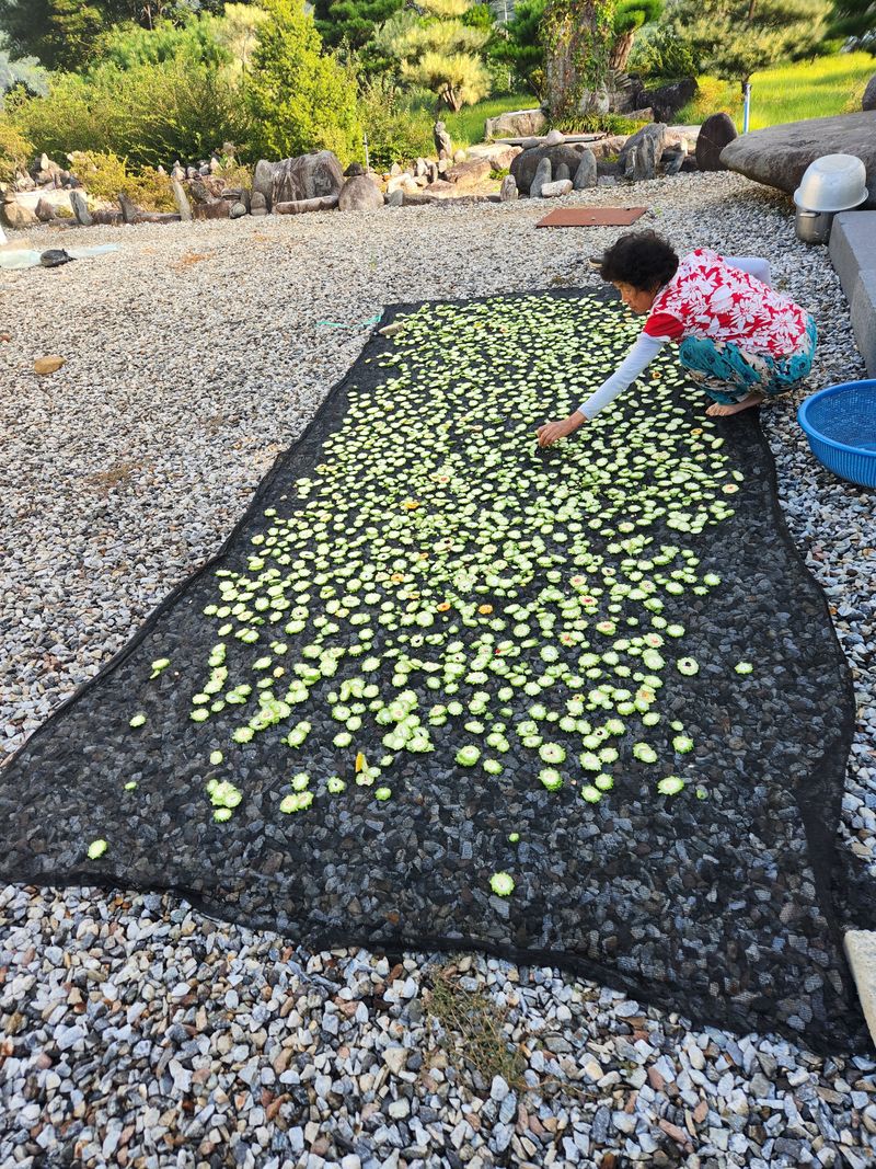 오이20125님의 장터 판매 상품 [여주.1키로] 첨부 사진