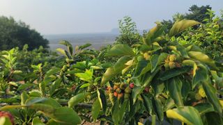 차여사농원 머슴님의 자유주제 · 자유게시판 작성글 사진