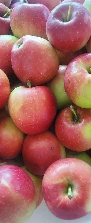 복주농장님의 자유주제 · 사진전 작성글 사진