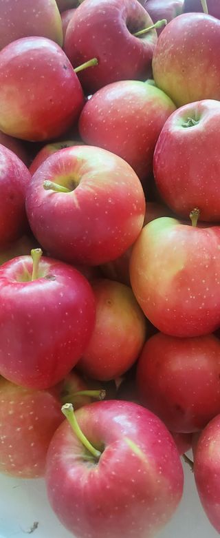 복주농장님의 자유주제 · 사진전 작성글 사진