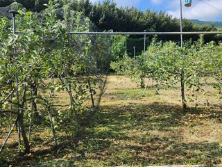 키다리님의 사과 · 영농일지 작성글 사진