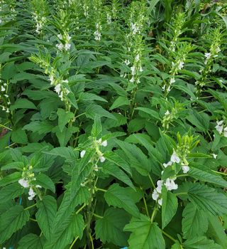 성훈경님의 자유주제 · 자유게시판 작성글 사진