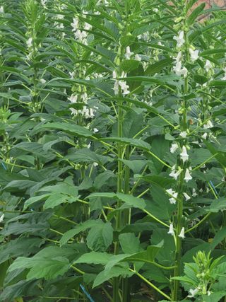 성훈경님의 자유주제 · 자유게시판 작성글 사진