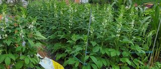 성훈경님의 자유주제 · 자유게시판 작성글 사진