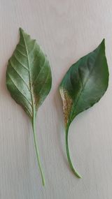 팜모닝 자유주제·자유게시판 게시글 이미지