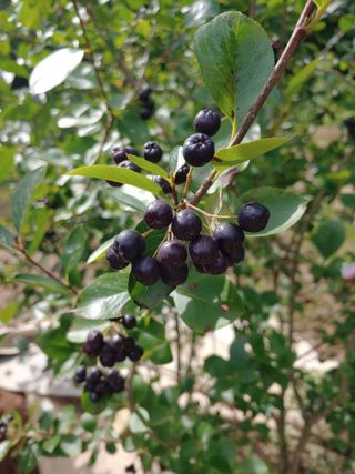 강물님의 자유주제 · 자유게시판 작성글 사진