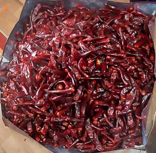 김재천님의 고추 · 영농일지 작성글 사진