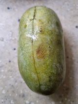 팜모닝 자유주제·사진전 게시글 이미지