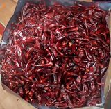 팜모닝 자유주제·자유게시판 게시글 이미지