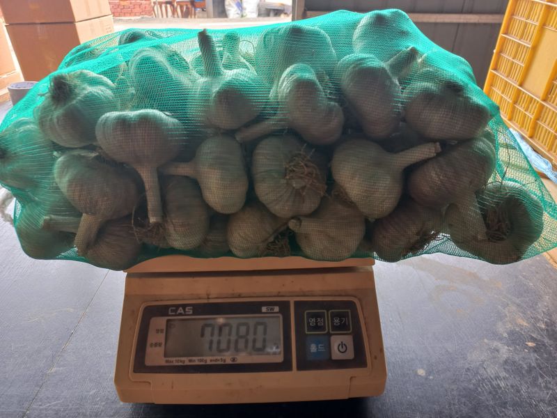 장터 상품 [홍산마늘 1접(7.0kg)] 썸네일
