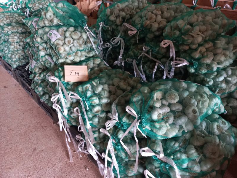 박린님의 장터 판매 상품 [홍산마늘 1접(7.0kg)] 첨부 사진