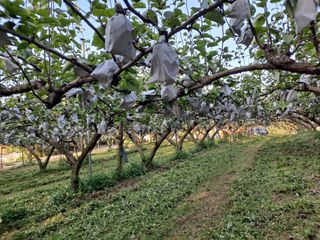 윤흥상님의 콩 · 영농일지 작성글 사진