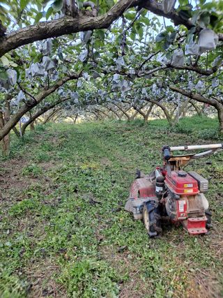 윤흥상님의 콩 · 영농일지 작성글 사진