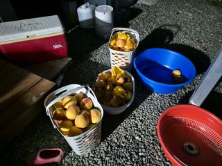 김종열님의 자유주제 · 자유게시판 작성글 사진