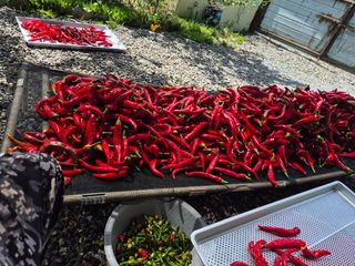 김종열님의 자유주제 · 자유게시판 작성글 사진