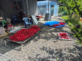 김종열님의 자유주제 · 자유게시판 작성글 사진