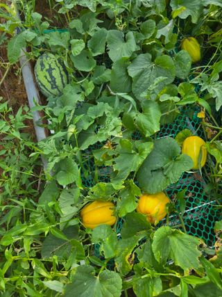 자연인님의 자유주제 · 자유게시판 작성글 사진