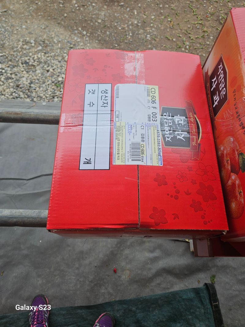 손윤영/수채화농원님의 장터 판매 상품 [아오리,아리수 사과 5kg] 첨부 사진