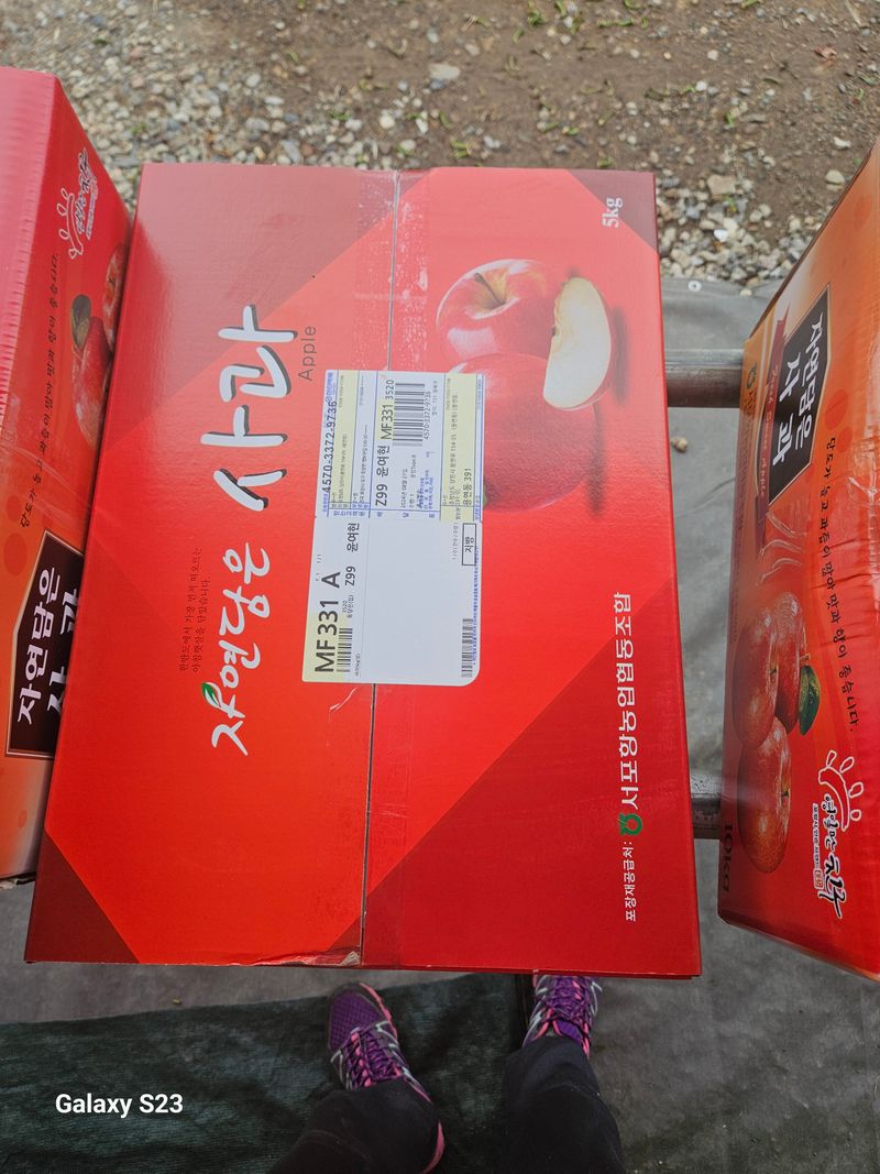 손윤영/수채화농원님의 장터 판매 상품 [아오리,아리수 사과 5kg] 첨부 사진