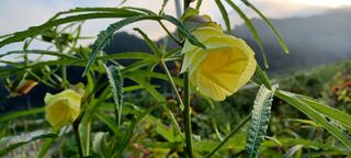 고풍마님님의 자유주제 · 자유게시판 작성글 사진