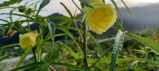 고풍마님님의 자유주제 · 자유게시판 작성글 사진