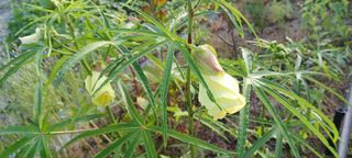 고풍마님님의 자유주제 · 자유게시판 작성글 사진