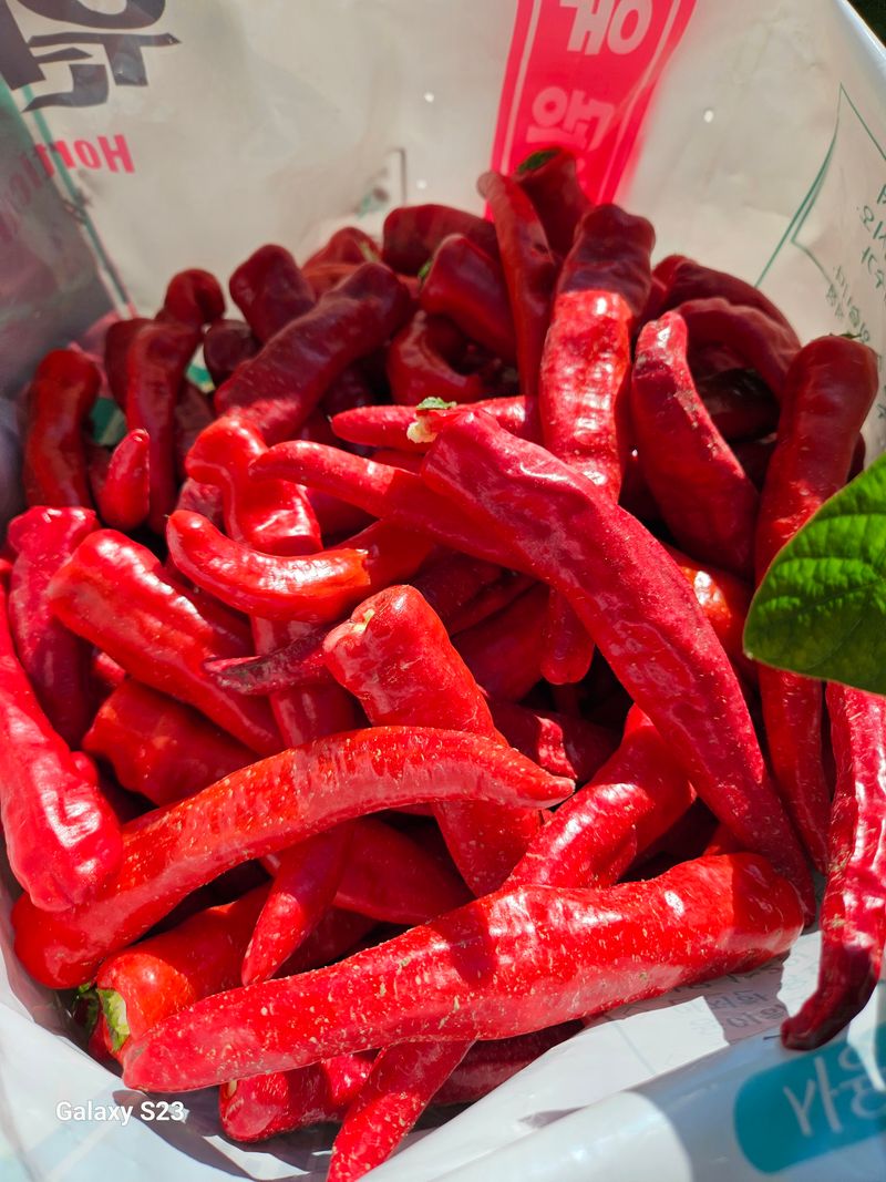 장터 상품 [청 양 고추가루 600g(1근)] 썸네일