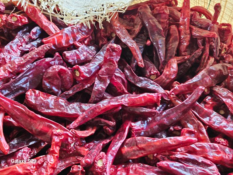 손윤영/수채화농원님의 장터 판매 상품 [청 양 고추가루 600g(1근)] 첨부 사진