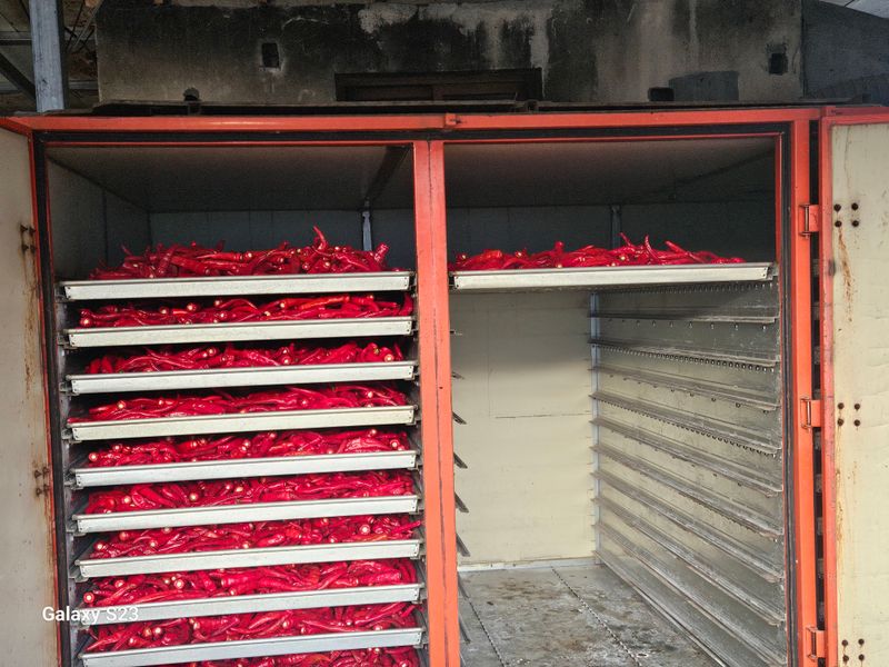 손윤영/수채화농원님의 장터 판매 상품 [청 양 고추가루 600g(1근)] 첨부 사진