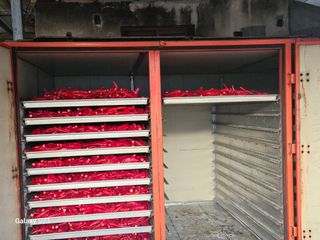 손윤영/수채화농원님의 작성글 사진