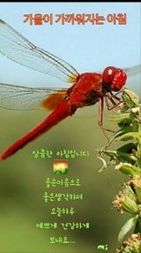 팜모닝 자유주제·자유게시판 게시글 이미지