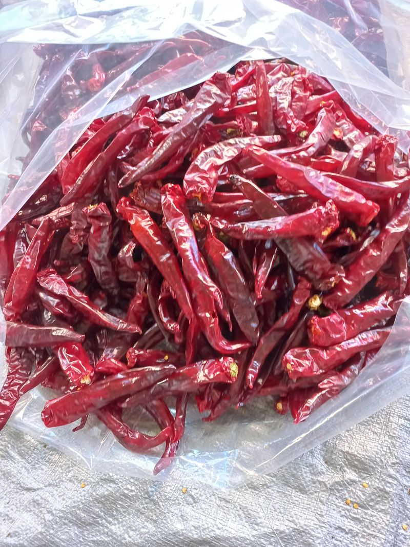 생거님의 장터 판매 상품 [건고추(가루도주문받습니다 ] 첨부 사진