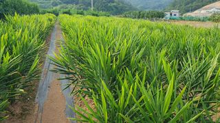 유형철님의 자유주제 · 자유게시판 작성글 사진