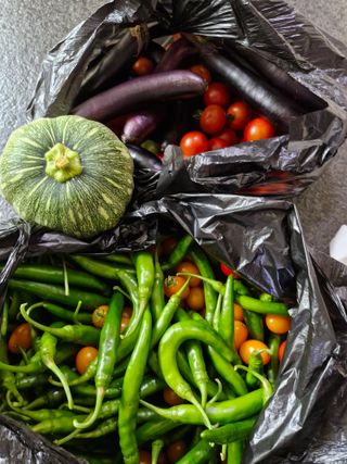 정석구님의 자유주제 · 자유게시판 작성글 사진