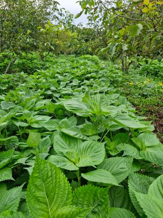 정석구님의 자유주제 · 자유게시판 작성글 사진