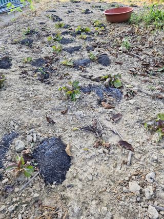 정석구님의 자유주제 · 자유게시판 작성글 사진