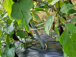 정석구님의 자유주제 · 자유게시판 작성글 사진